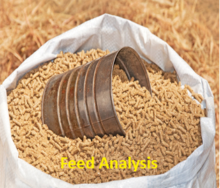Feed Analysis Feed Analysis
