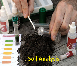 Soil Analysis copy Soil Analysis copy