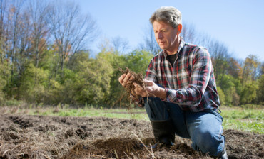 Soil health Soil health