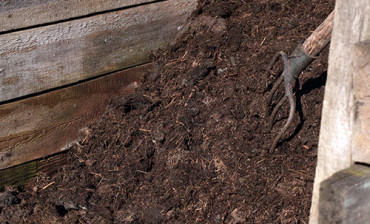 Compost pile Working in the garden: compost pile with a rustic pitchfork